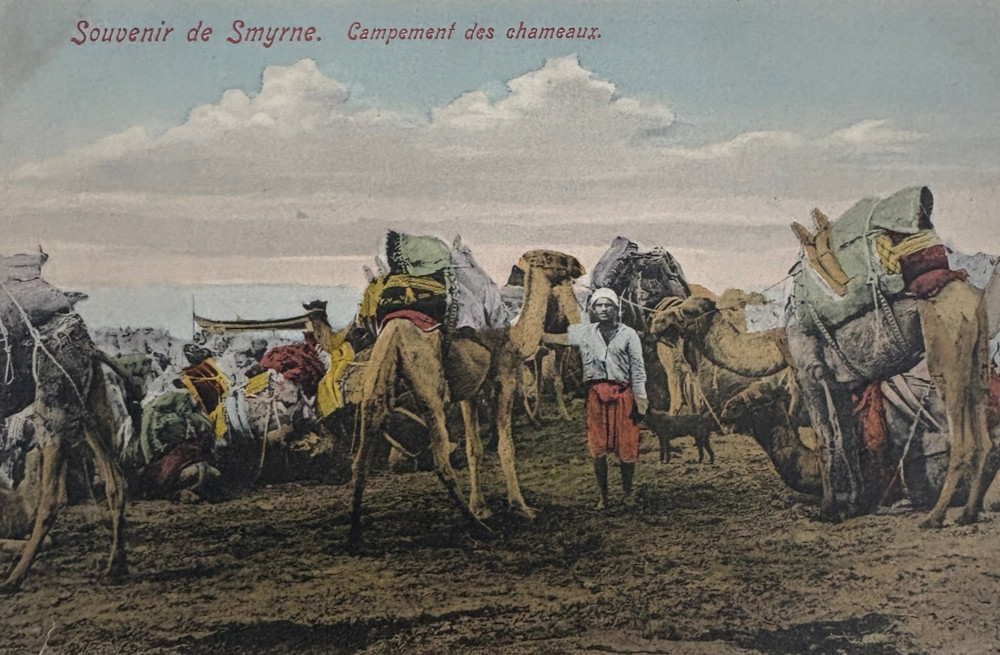Ottoman Turkey Smyrne Campement des chameaux Turkish Edt. Librairie Zachariou