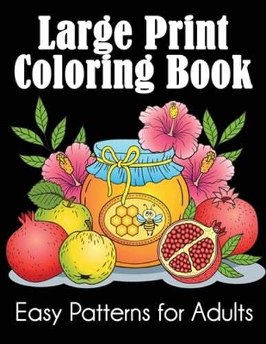 Large Print Coloring Book: Easy Patterns for Adults by Dylanna Press: Used