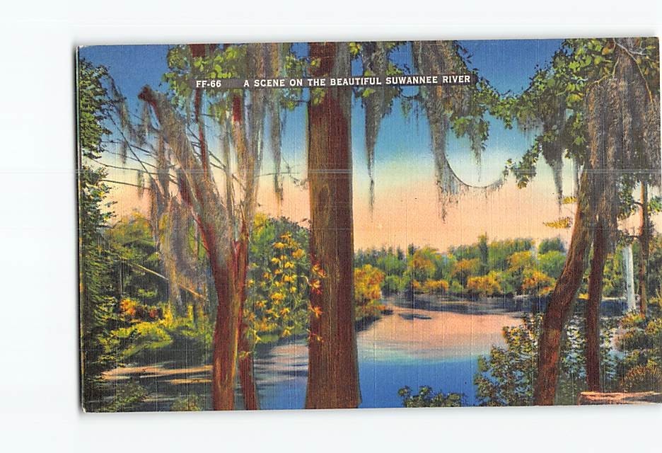 Postcard A Scene On The Beautiful Suwannee River Florida USA