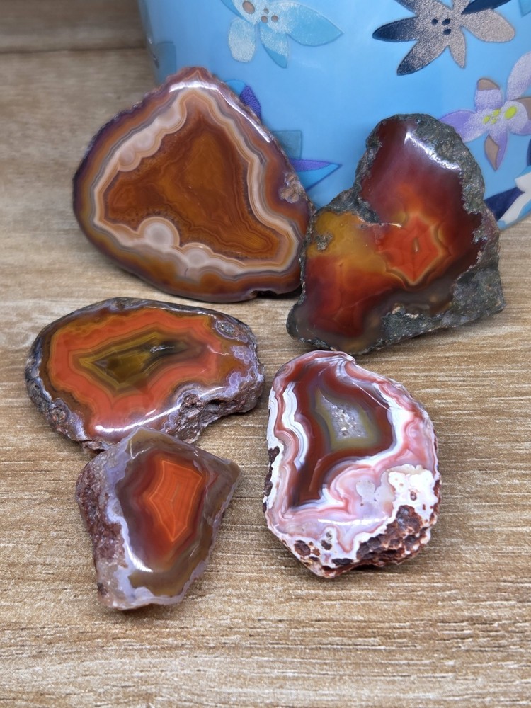 Malawi Agate Lot of 5/ Natural Banded / polished halves