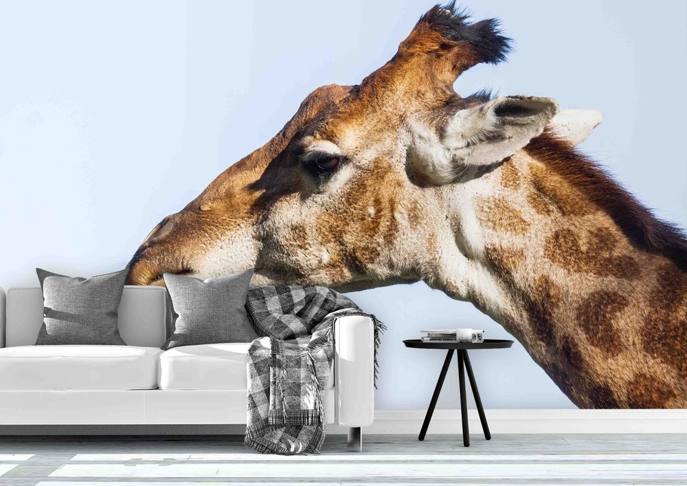 3D Giraffe Animal Close-up Wall Murals Wallpaper Murals Wall Sticker