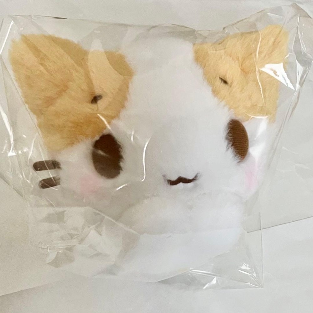 Sanrio My Melody Fluffy Marshmallow Cat Plush S Unopened From Japan