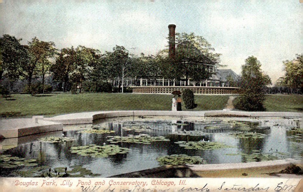 1909 Douglas Park Lily Pond Conservatory Chicago Illinois Litho Postcard