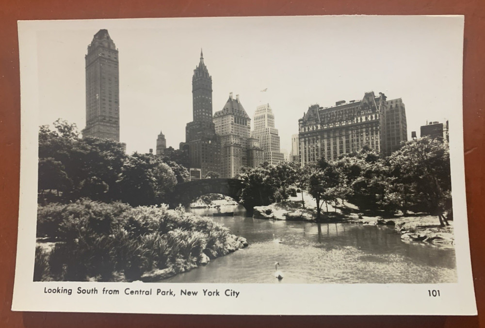 Looking South From Central Park New York City Real Photo Postcard RPPC