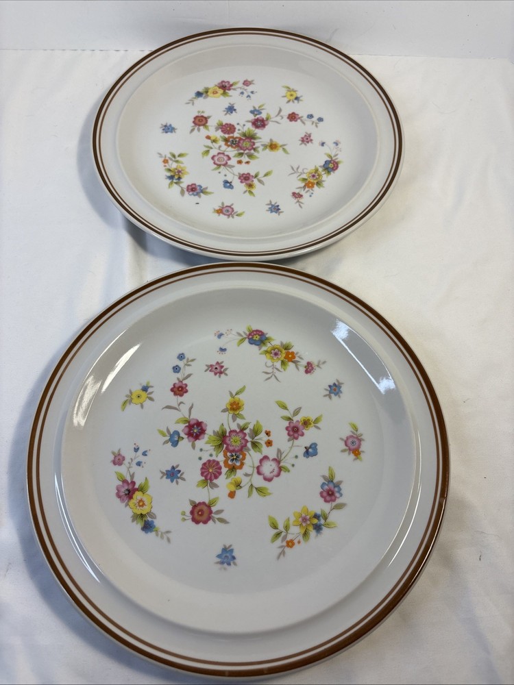 Set Of 2 Colonial Stoneware Violet Floral 10.5” Dinner Plates By MSI Japan