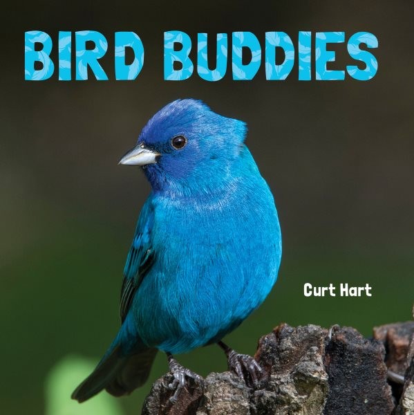 Bird Buddies, Hardcover by Hart, Curt, Brand New, Free shipping in the US
