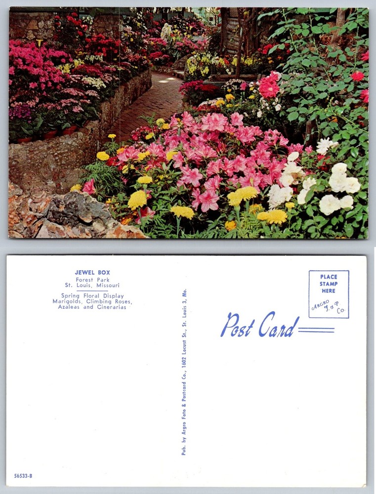 Jewel Box St. Louis MO Floral Display Forest Park Vintage Postcard Argro Foto