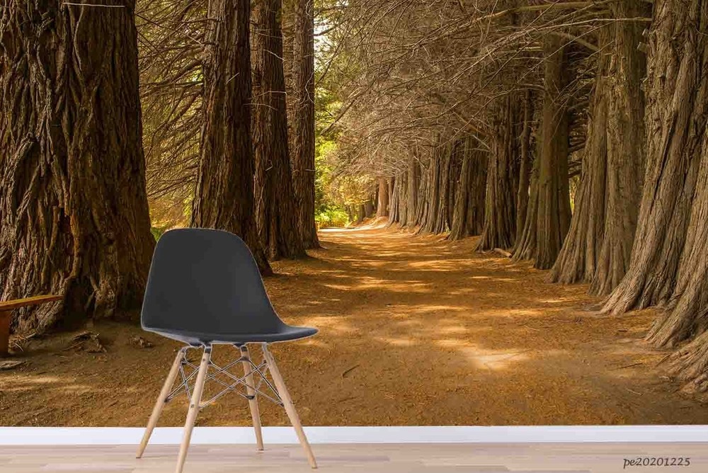 3D Woodland Path Landscape Wall Murals Wallpaper Murals Wall Sticker