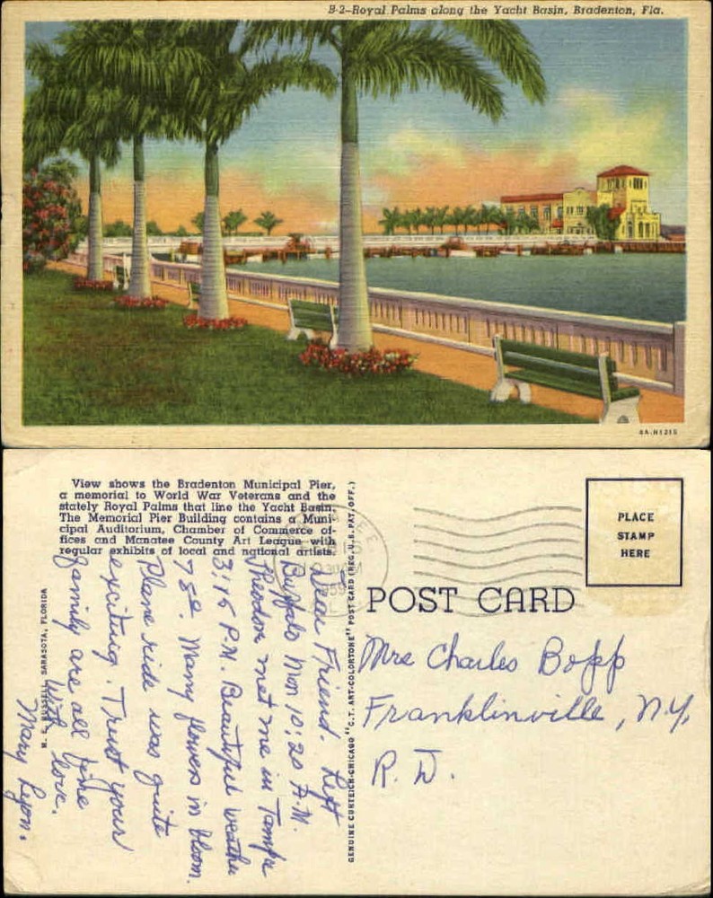 Royal Palm trees along Yacht Basin Bradenton Florida postcard mailed 1959