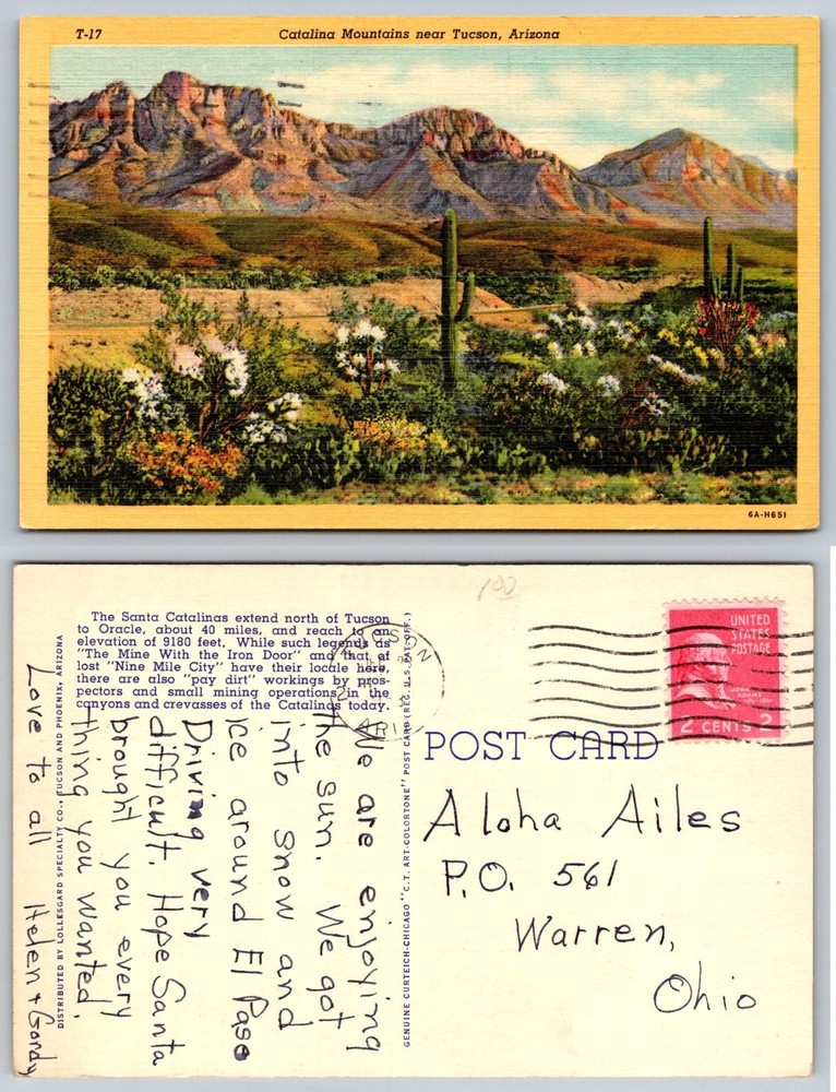 Catalina Mountains Tucson AZ Vintage Postcard Saguaro Cactus Desert Art