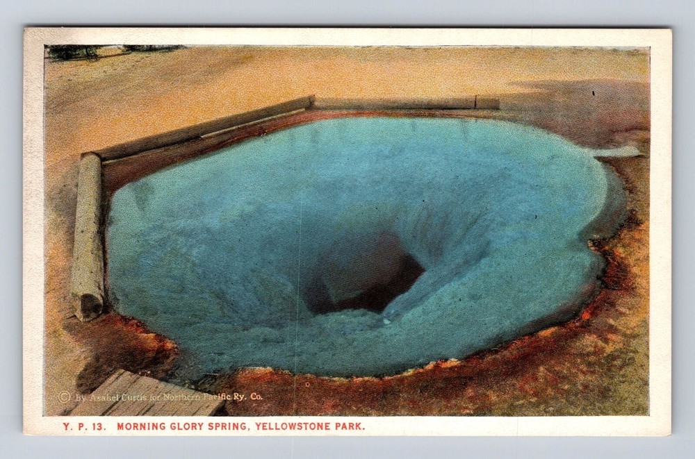 Yellowstone Park WY-Wyoming, Morning Glory Spring, Vintage Postcard