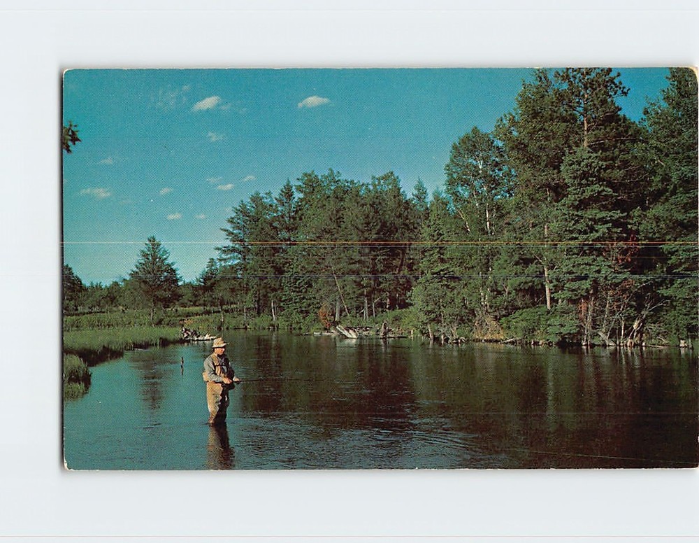 Postcard Man Fishing River Trees Nature Landscape Scenery