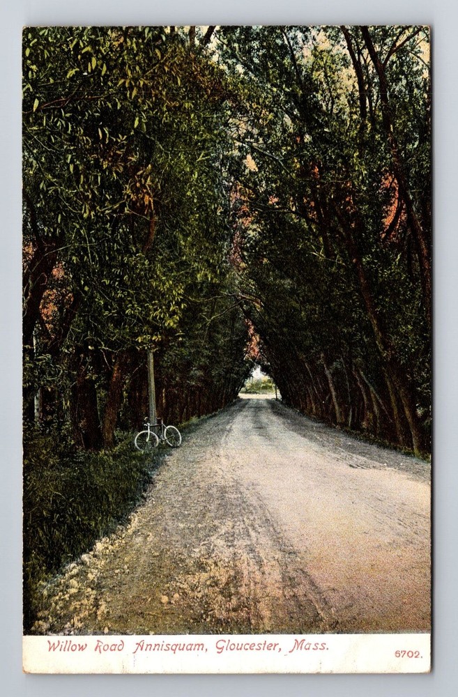 Gloucester MA-Massachusetts, Willow Road Annisquam, Antique Vintage Postcard