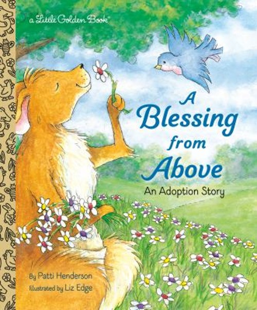 A Blessing from Above : An Adoption Story Hardcover Patti HendersFree US Delivery | ISBN:0375828664