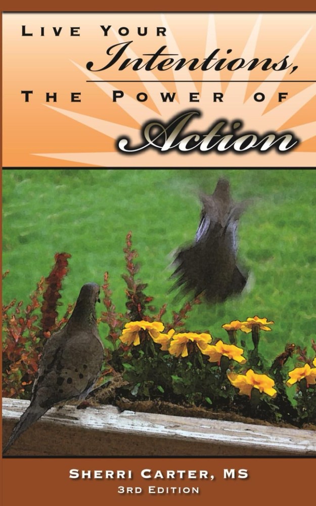 Live Your Intentions, The Power of Action: 12 Steps to Living an Empowered Life