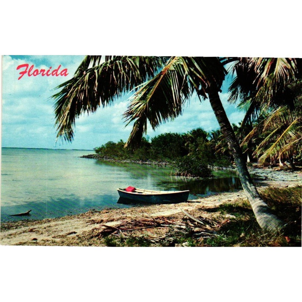 Vintage Florida Postcard Typical Scene Palm Trees Rowboat Koppel Color FG 214