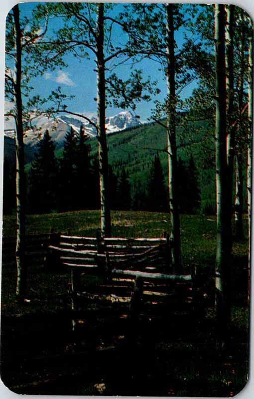 Postcard NATURE SCENE Between Durango & Silverton Colorado CO m/09 AO5351