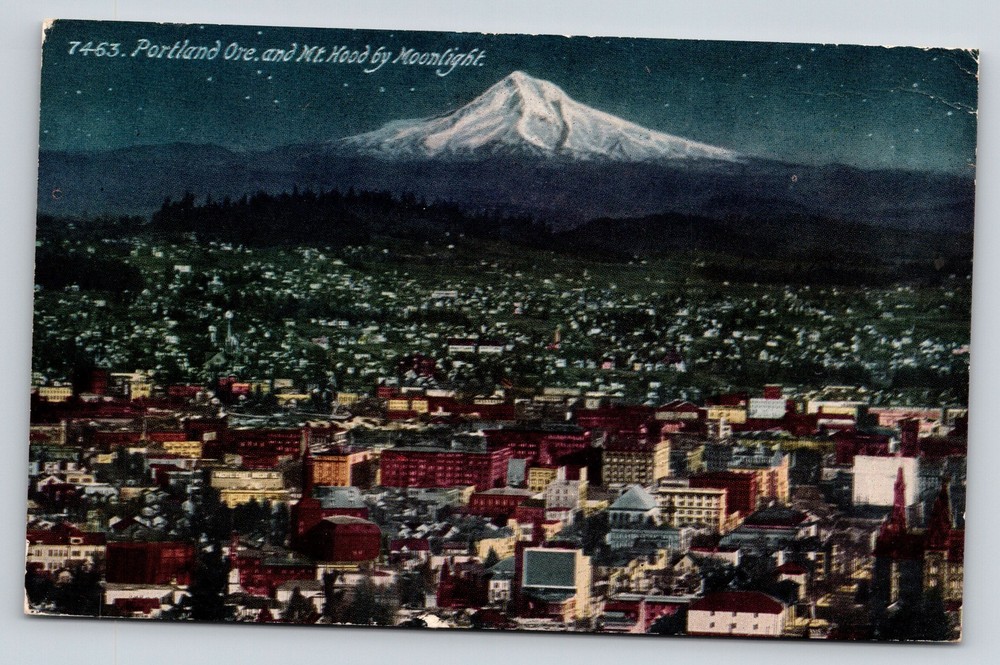 Portland Oregon~Mt Hood~City Landscape~Moonlight~Night Air View~1914 Postcard