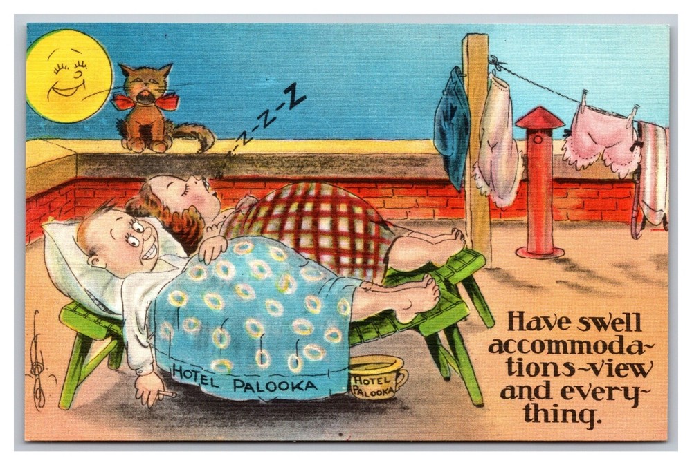 Have Swell Accommodations View Everything! Humor Linen Asheville NC Postcard Co.-image