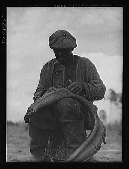Repairing a mule harness on a farm near Moncks Corner, South Carolina