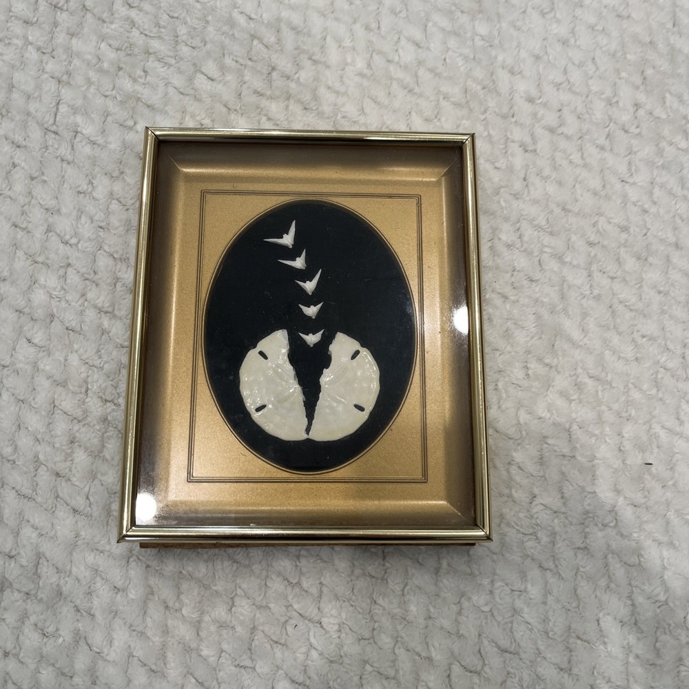 Vintage Legend of The Sand Dollar Framed Shadow Box Art