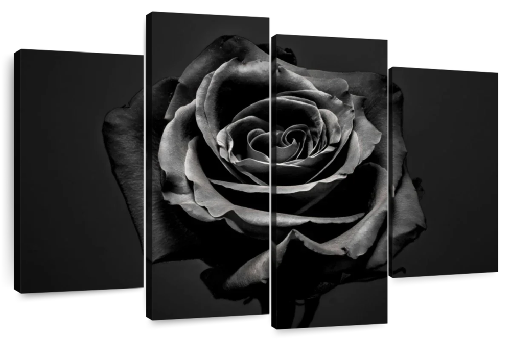 Black Rose Wall Art