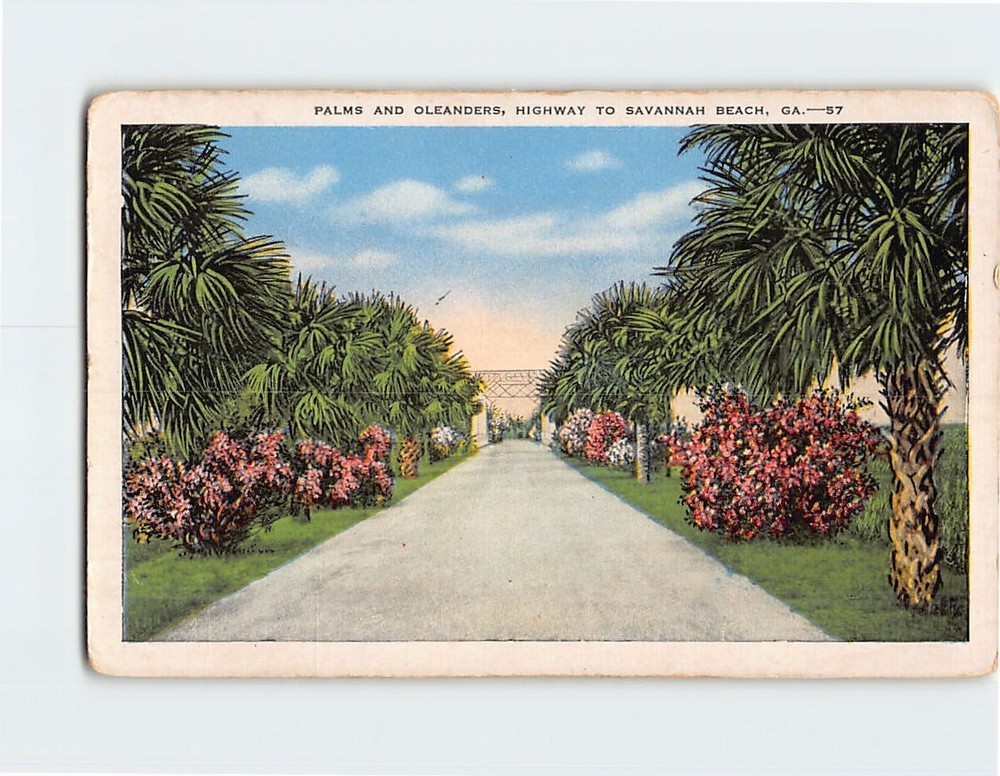 Postcard Palms & Oleanders Highway to Savannah Beach Georgia USA