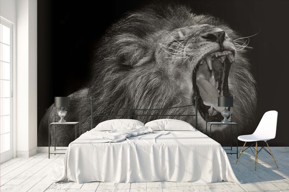 3D Lion Animal Close-up Wall Murals Wallpaper Murals Wall Sticker