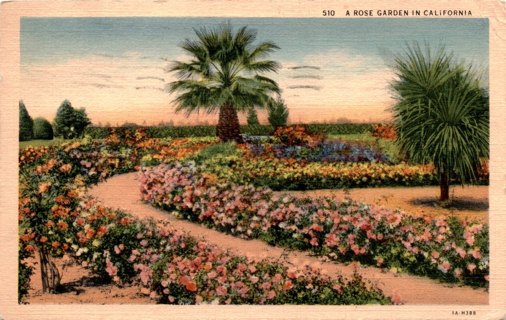 CALIFORNIA, LOS ANGELES, WESTERN PUBLISHING & NOVELTY CO Postcard