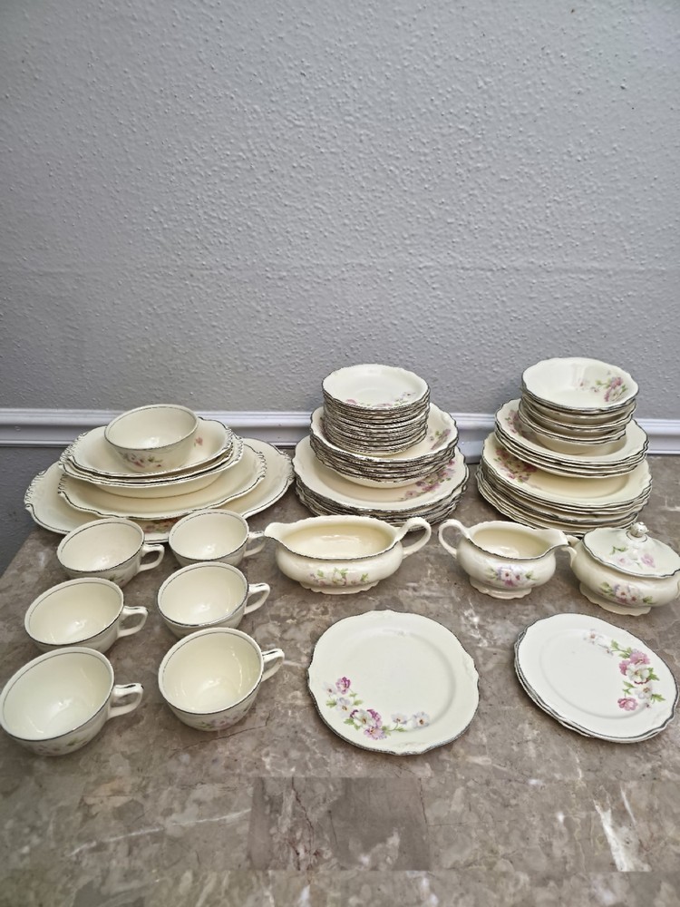 Homer Laughlin Virginia Rose 59 Piece Dinnerware Set – Mixed Condition – Vintage