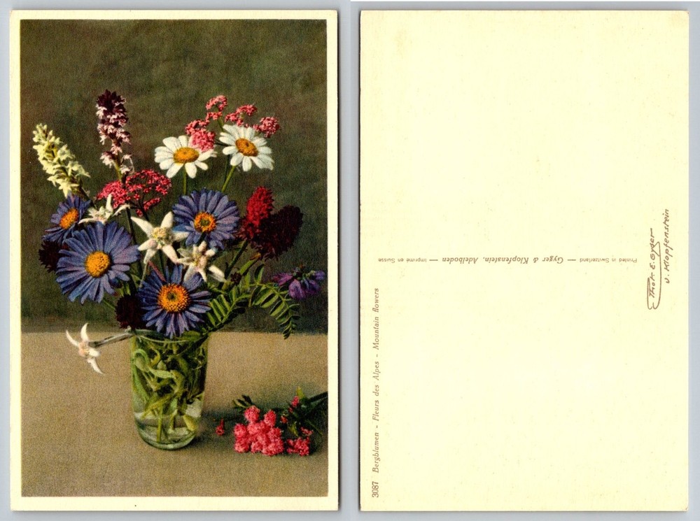 Vintage Switzerland Adelboden Alpine Mountain Flowers Edelweiss Postcard