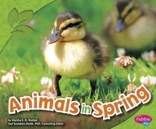 Animals in Spring (All about Spring) - Paperback By Rustad, Martha E H - GOOD