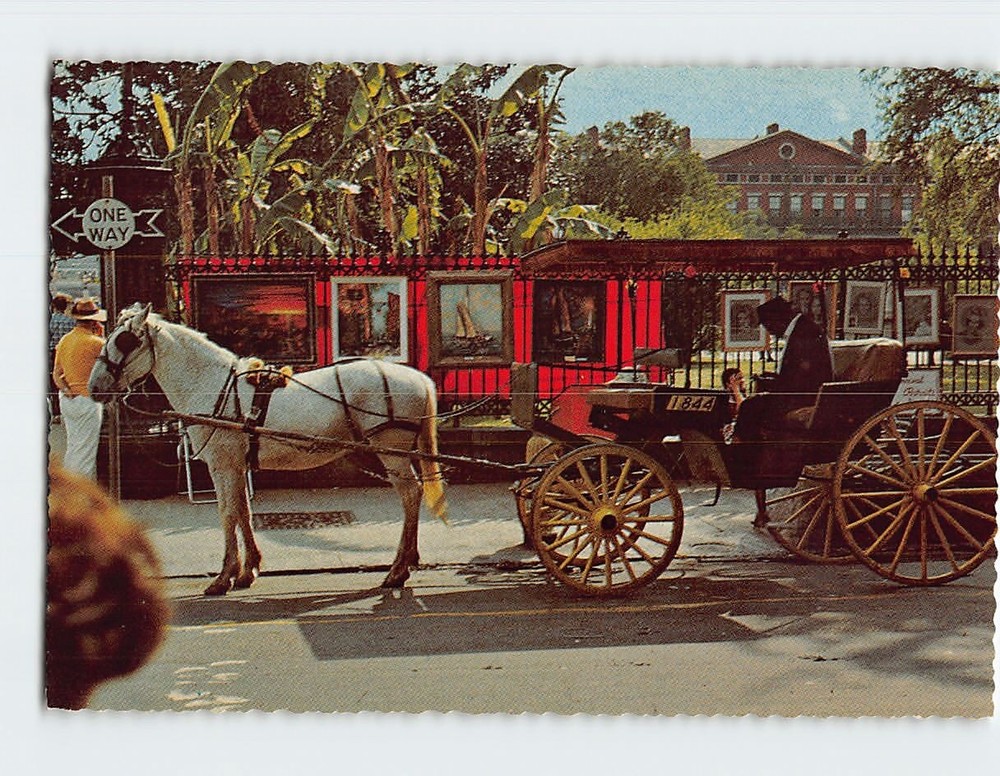 Postcard French Quarter Sightseeing Carriage Louisiana USA