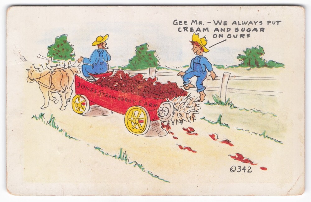 KROMEKOLOR Comic Postcard Strawberry Farm Farmers Humor 