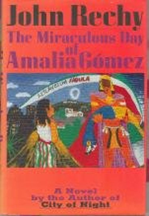 The Miraculous Day of Amalia Gomez Hardcover John RechyFree US Delivery | ISBN:1559701153