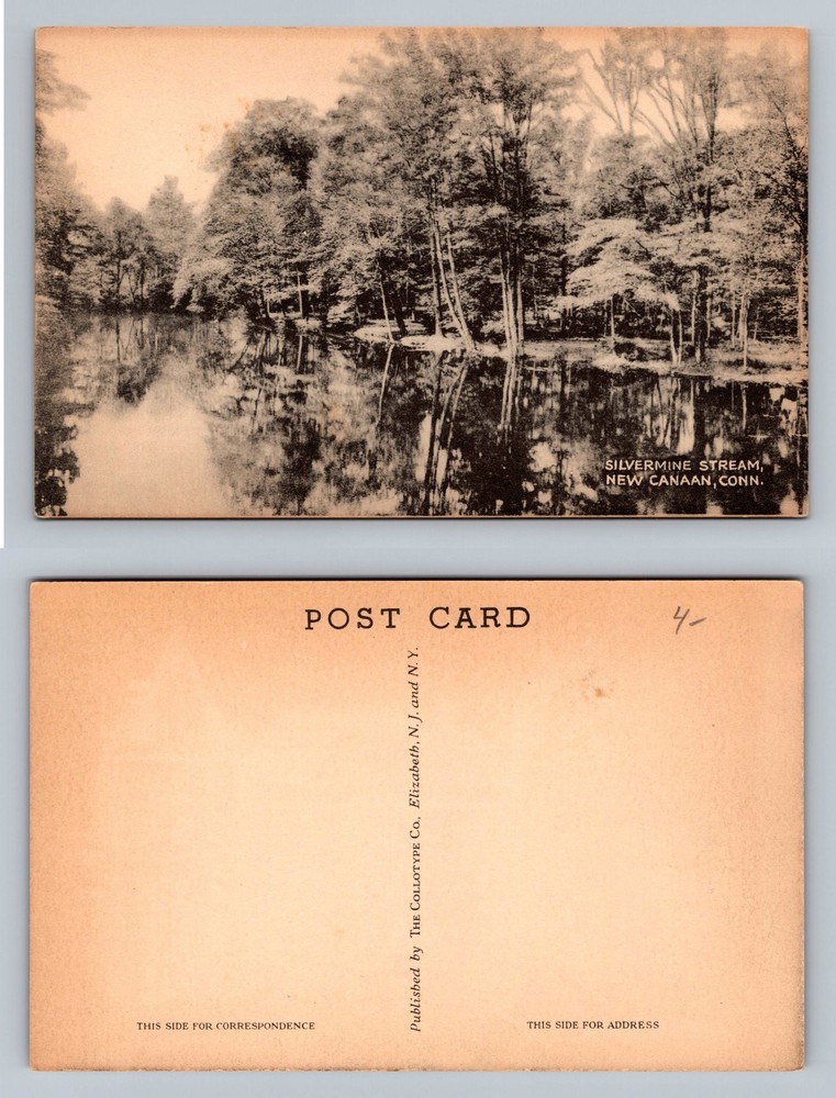 New Canaan, CT-Connecticut, Silvermine Stream Forest View Vintage Postcard