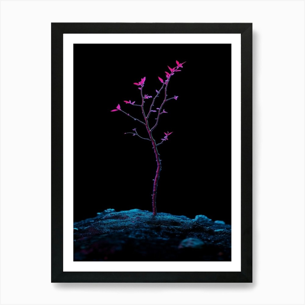 Tree In The Dark 4 Art Print Framed Wall Art Poster Canvas Print Picture