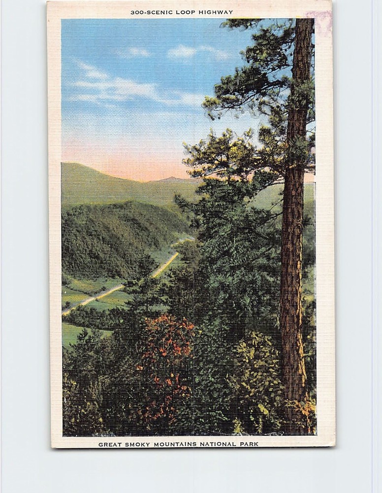 Postcard Scenic Loop Highway Great Smoky Mountains National Park Tennessee USA