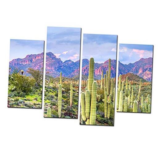 4 Picce Picture Wall Art Beautiful Cactus in Arizona Picture Print on Canvas