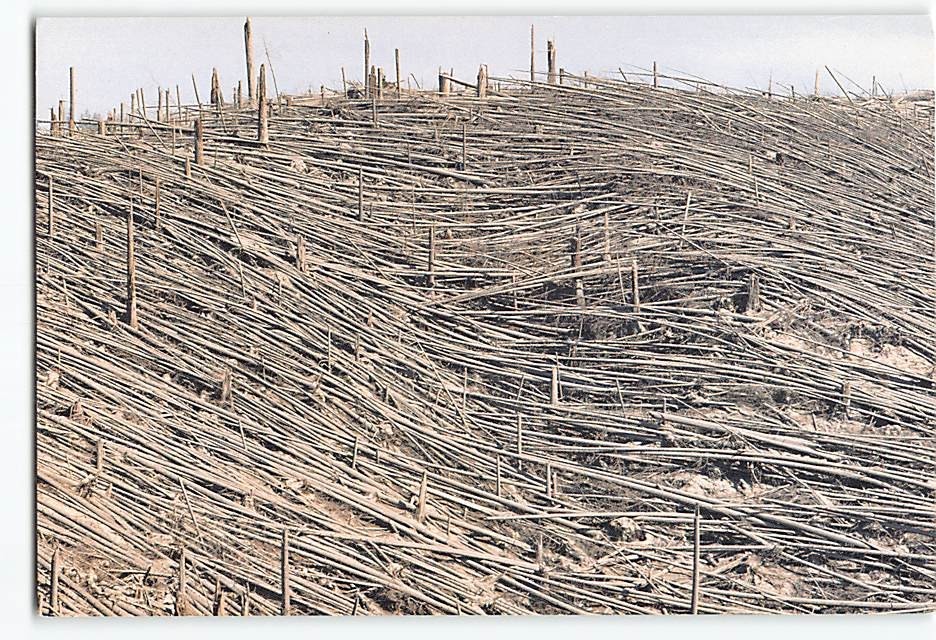 Postcard Eruption of Mt. St. Helens Aftermath Washington USA