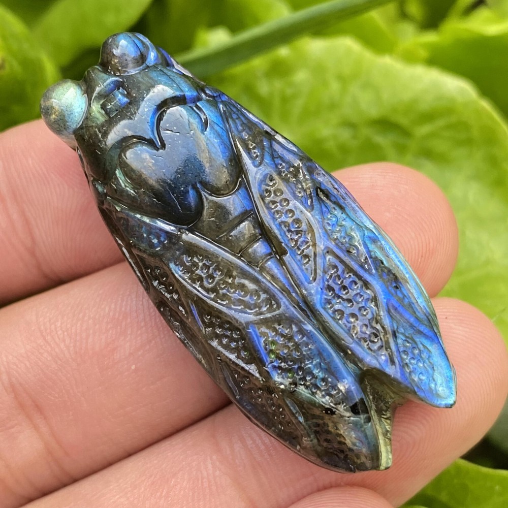 Natural Carved Labradorite Cicada Specimen Skull Quartz Crystal Reiki Healing 1p