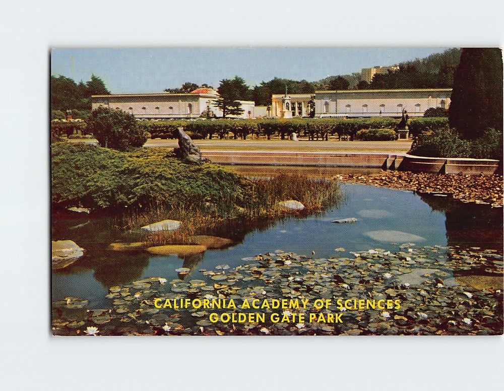 Postcard California Academy Of Sciences, Golden Gate Park, San Francisco, CA-image