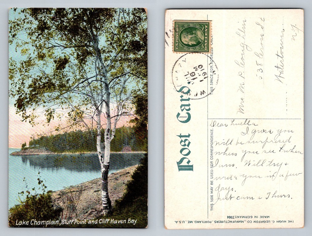 Plattsburgh, NY-New York, Lake Champlain Bluff Point Vintage c1910 Postcard