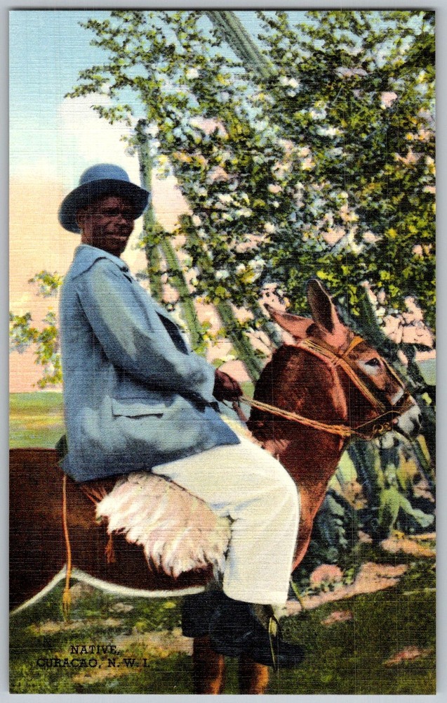 Vtg Linen Postcard Native Man Donkey Curacao, N.W.I 1930s