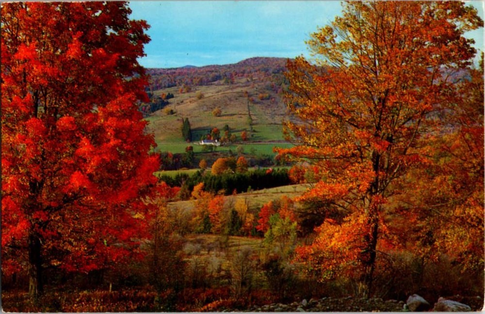 Oneonta New York NY : PANORAMIC SCENE m/14 BD2963