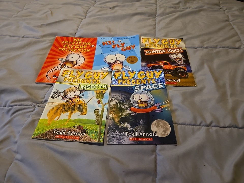 Lot of 5 FLY GUY  by Tedd Arnold VGC Scholastic