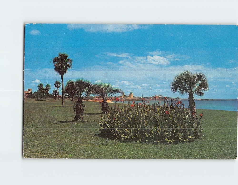 Postcard Cole Park Corpus Christi Texas USA