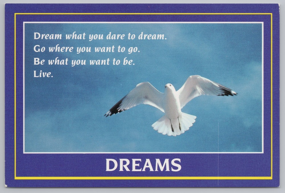 Animal~Dream Quote~White & Black Bird Flying In Blue Sky~Continental Postcard