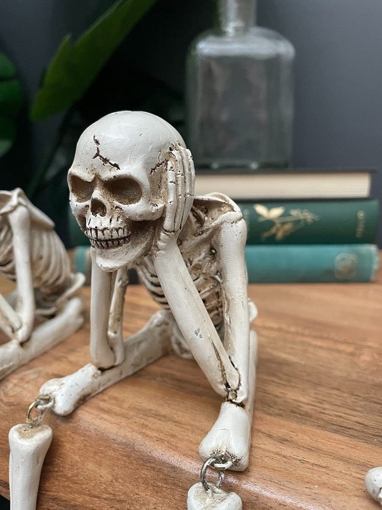Kakeii Skull Statues Set Resin Skeleton Shelf Sitters Sitting Figurines for H...