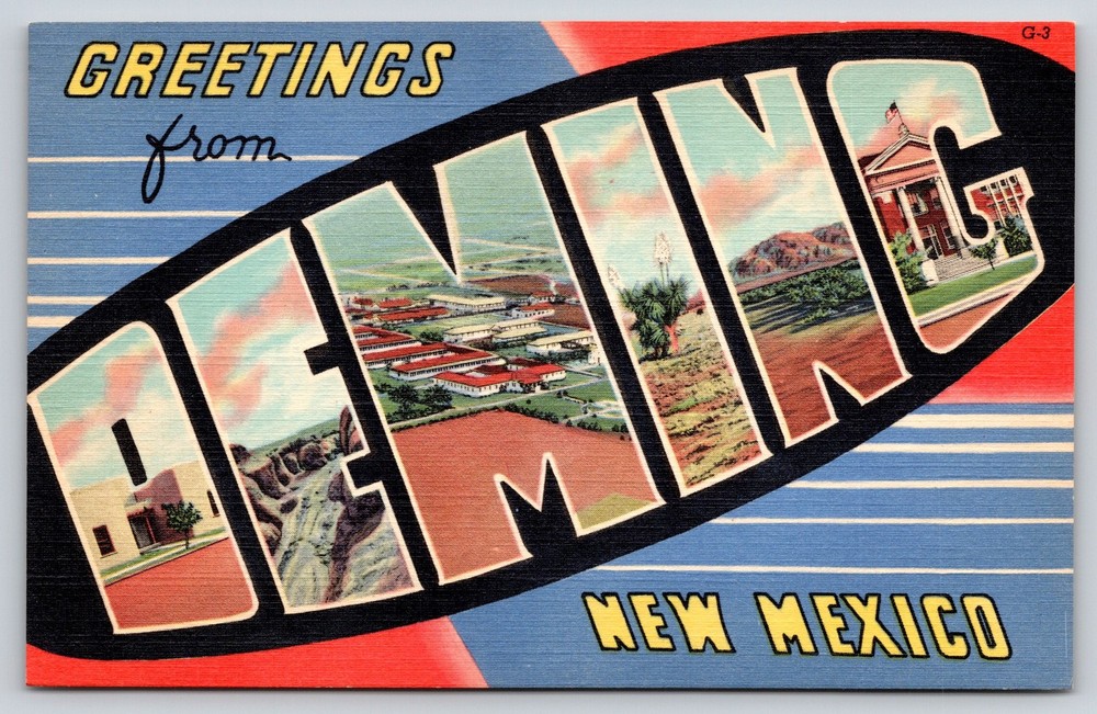 Deming New Mexico~Air View~Yucca~Desert~Large Letter Linen Postcard